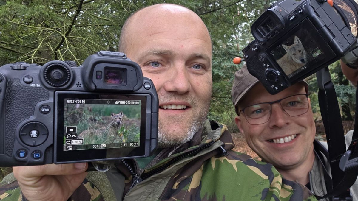 Fotografen in Heerde voelen zich weggezet als wolvenverstoorders: ‘Ik ben met de dood bedreigd