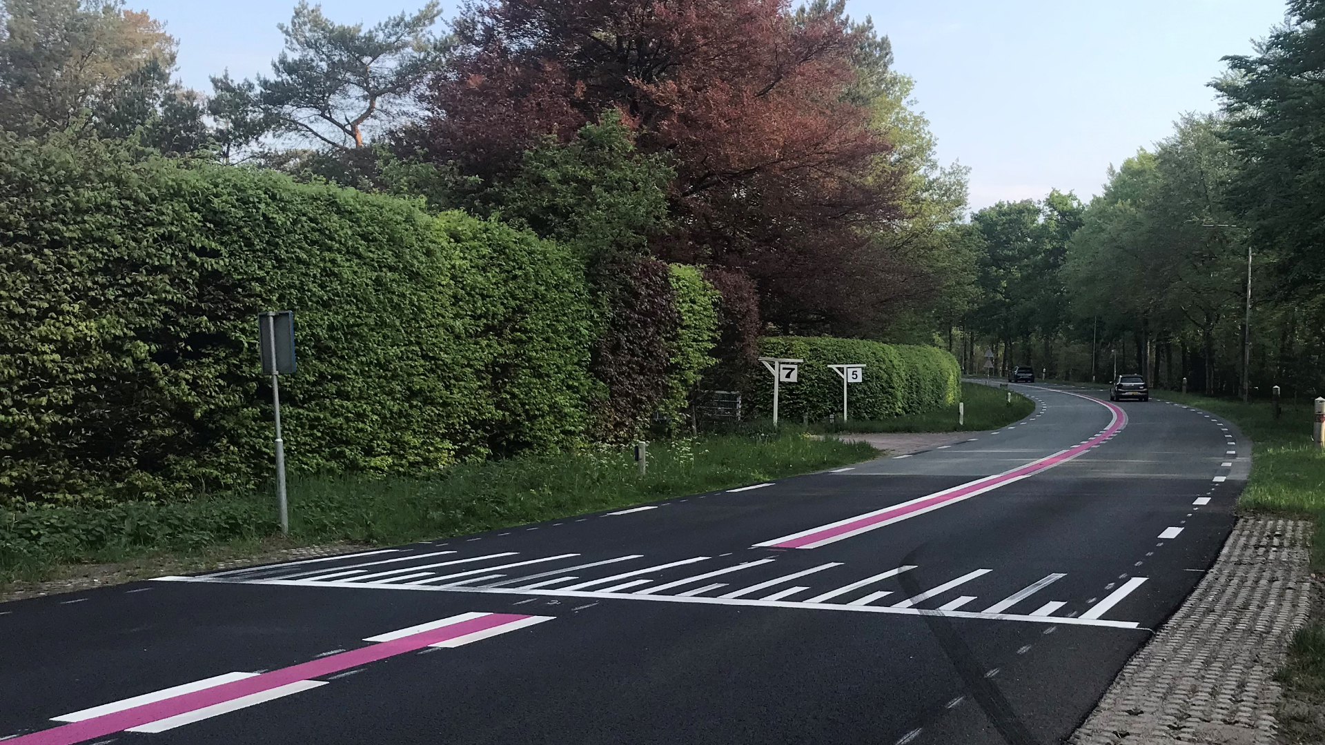 Weten weggebruikers wat een paarse middenstreep betekent?