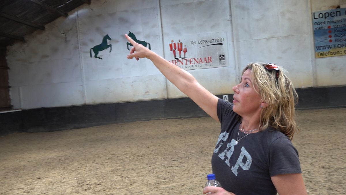 Gemis overdekte rijhal dreigt paardrijverenigingen De Wolden op te breken: leegloop gevreesd