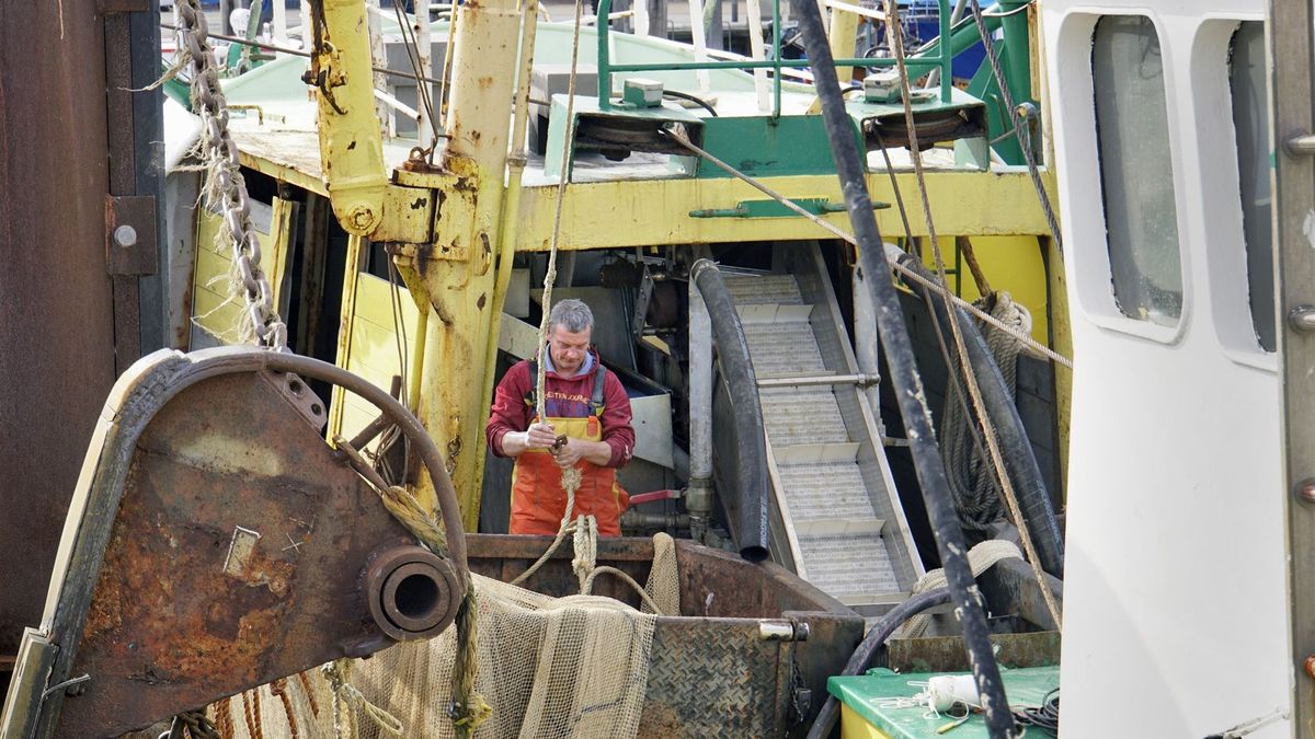 Op deze manier wil Zeeland miljoenen binnenslepen om visserijcultuur te redden