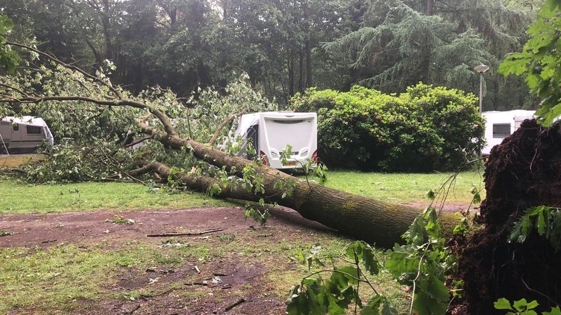 De boom is bijna over de hele lengte van de camping gevallen, zonder dat er gewonden zijn gevallen.