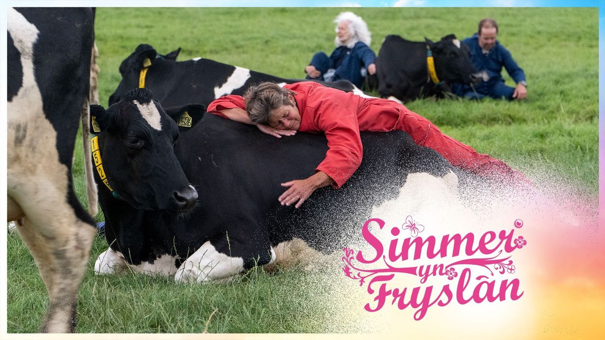 Simmer yn Fryslân: Koe-knuffeldag in Delfstrahuizen