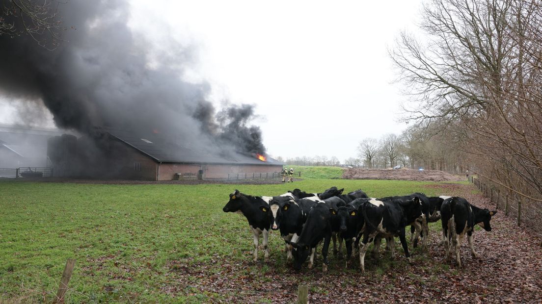 Uitslaande brand bij melkveebedrijf in Vilsteren