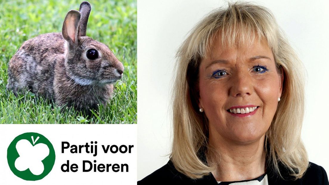 Carla van Viegen is herkozen als lijsttrekker van de Partij voor de Dieren in Zuid-Holland