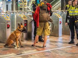 Loslopende hond valt man aan in stationshal