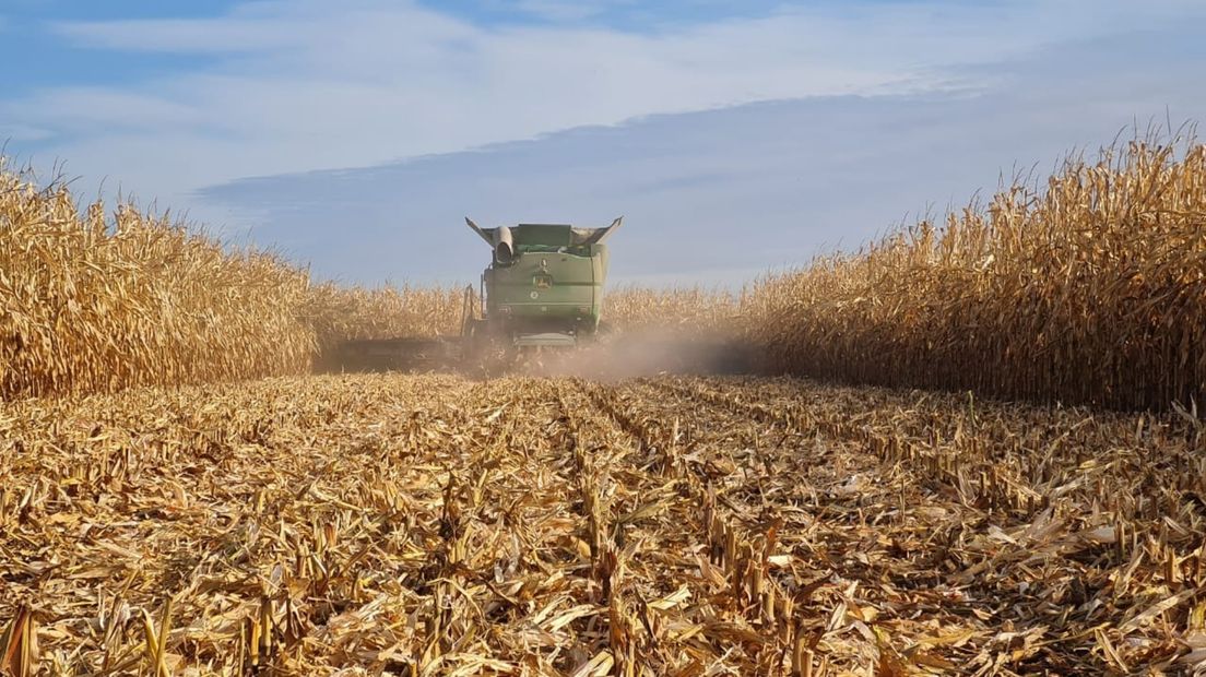 Een van Huizinga's machines op een graanveld