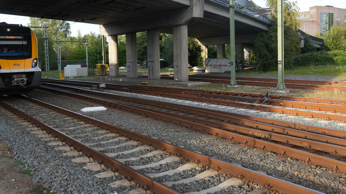 De pauw liep rond over het spoor bij Meppel