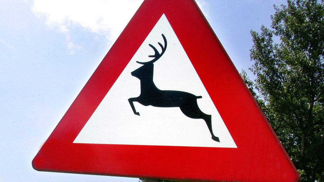 Overstekend wild