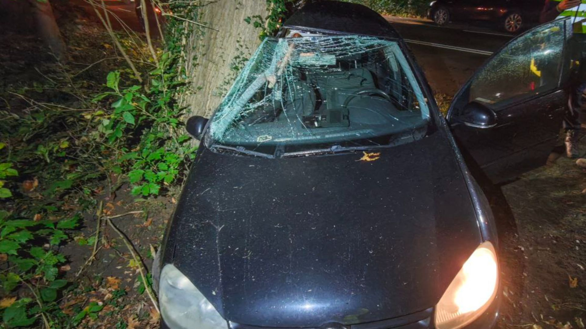 Auto total loss na botsing tegen boom.