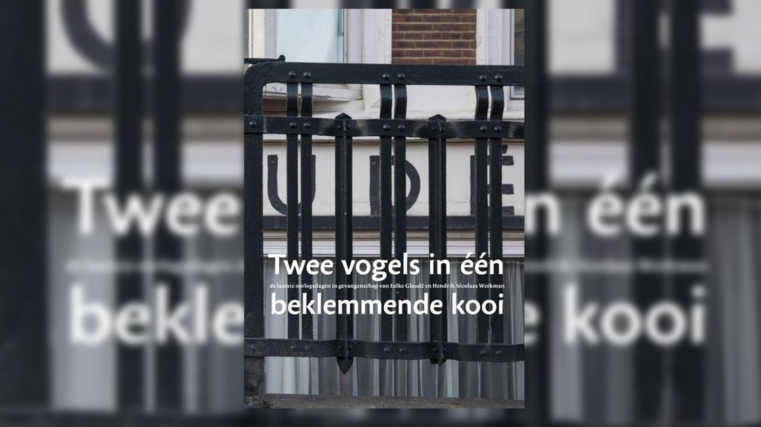 Het boek Twee vogels in een beklemmende kooi