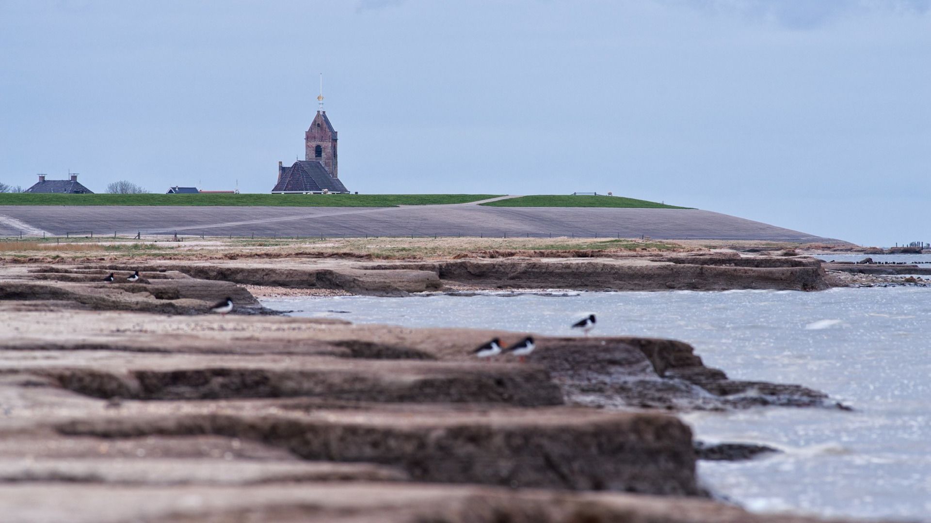 Hjir by Wierum ferdwynt de kwelder stadichoan yn see