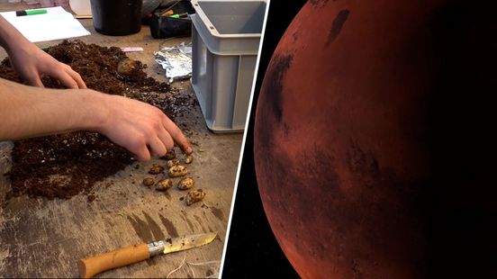 Zo verbouwen we straks ons eten op Mars
