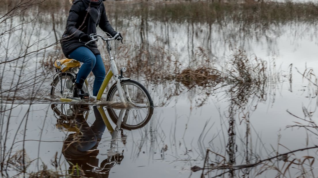 De dame op de fiets maakte toch dapper gebruik van het fietspad (Rechten: Jaap Menses)