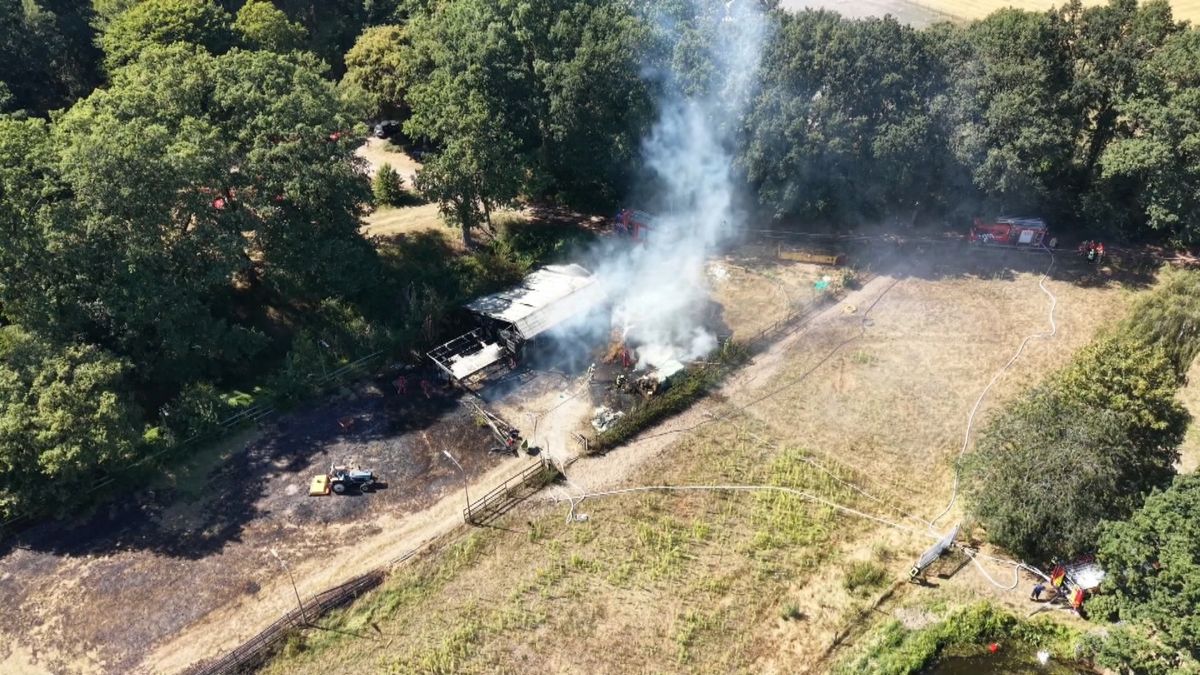 Grote brand verwoest paardenstal Ter Apel