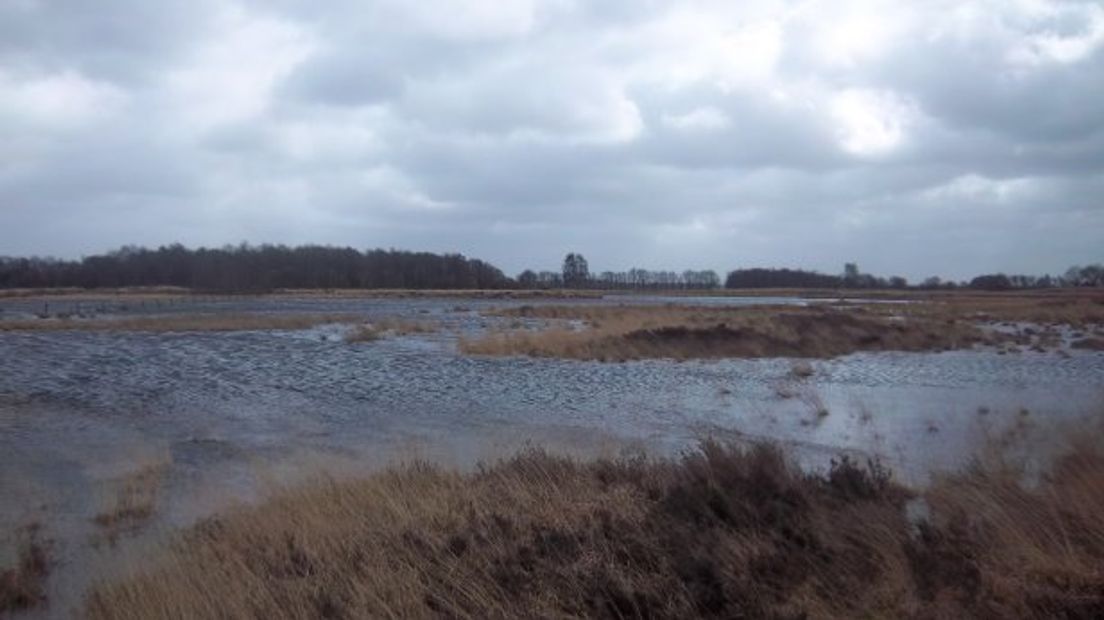 Er worden harde windstoten verwacht in Drenthe (Rechten: Archief RTV Drenthe)