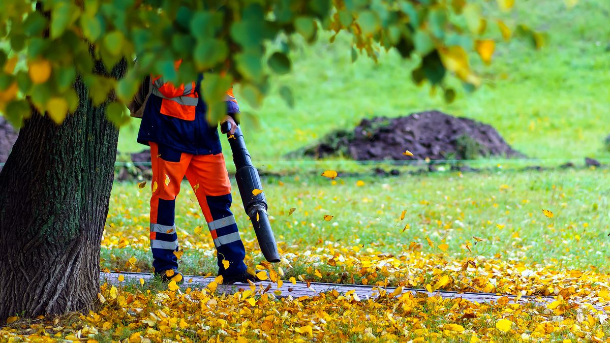 Zwolle wil af van bladblazer op benzine, maar dat stuit op veel problemen