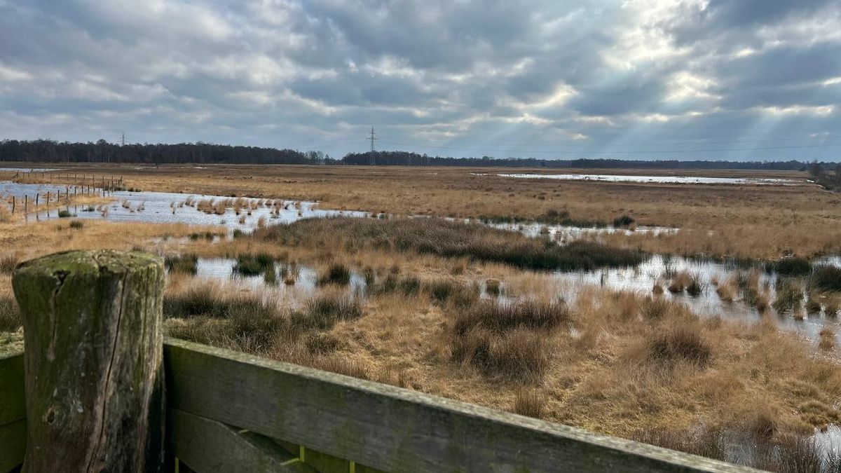 Verzet tegen plan om hoogveen te vernatten groeit: ook Wierden trekt aan de bel
