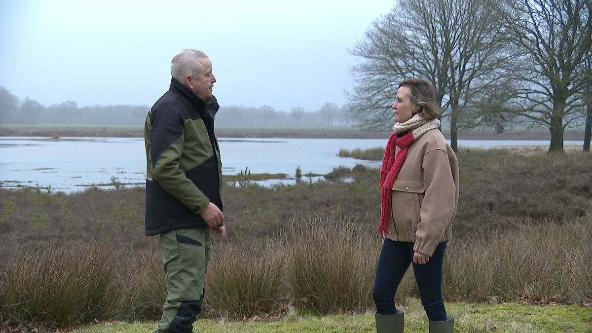 De wondere wereld van het Nuilerveld