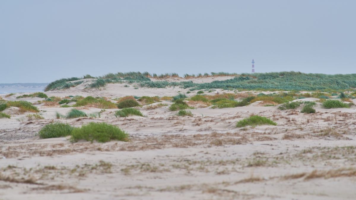 Waarom heeft Terschelling extra zand nodig?