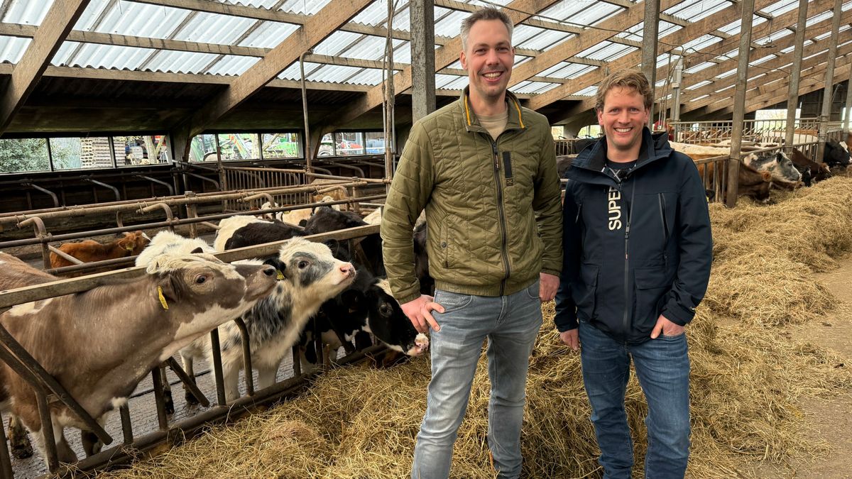 Boeren Wapserveen: met huidige plannen provincie hebben wij geen bestaansrecht meer
