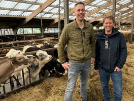 Boeren Wapserveen: met huidige plannen provincie hebben wij geen bestaansrecht meer