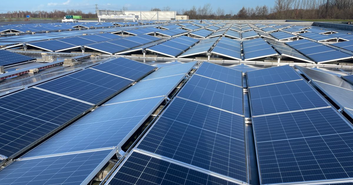 エクスルー太陽光発電所は今後5年間存続する可能性：ボルガー・オドーン市がゾーニング計画の誤りを修正