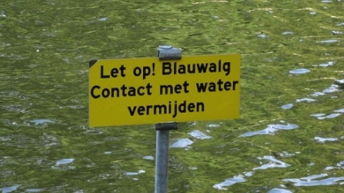 Waarschuwing voor blauwalg