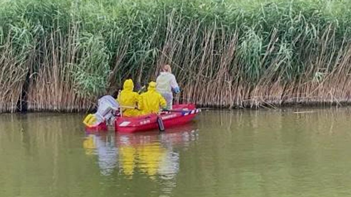 Honden en baasjes opgelet: mogelijk giftige botulinebacterie in vijver