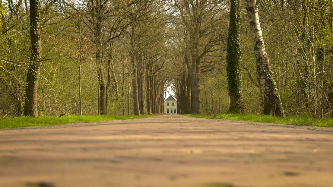 De tocht gaat over Landgoed Rheebruggen (Rechten: RTV Drenthe)