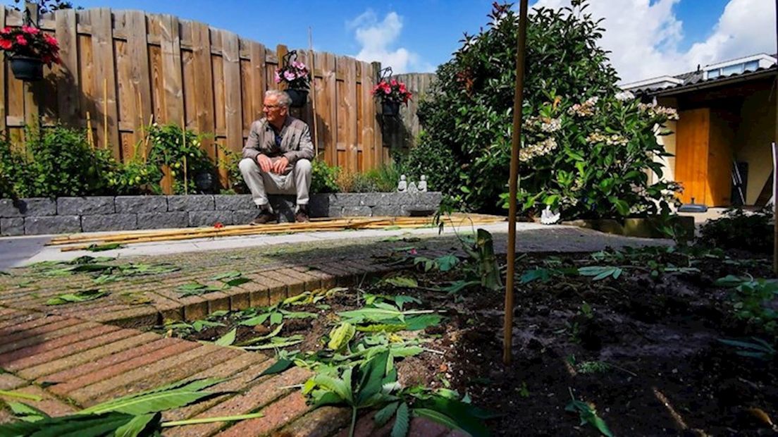 Jan is geschokt nadat zijn wietplanten zijn weggehaald