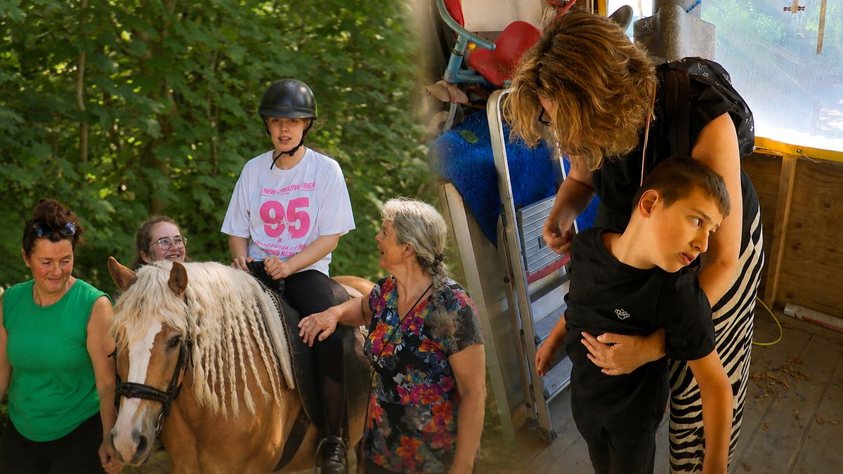 'Eeuwig zonde': Victoria en Sedar dreigen hun paarden te verliezen