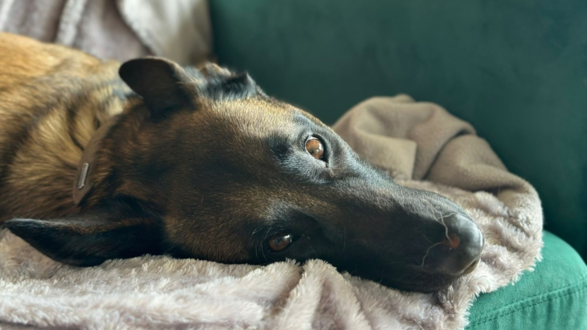 Julia bij haar gastgezin.