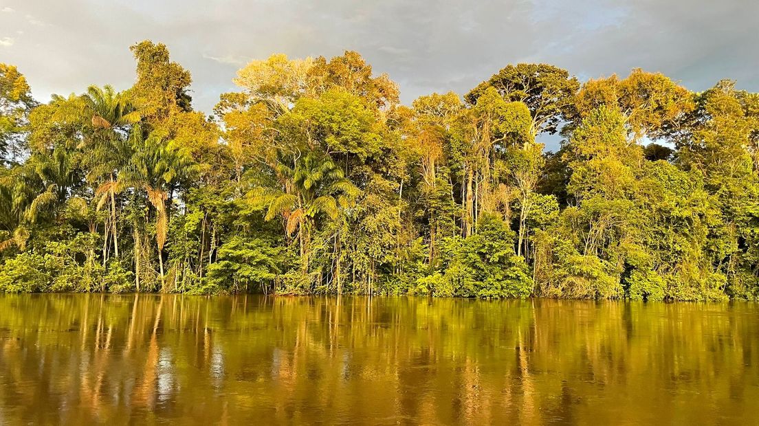 De dorpjes liggen in de jungle van Suriname