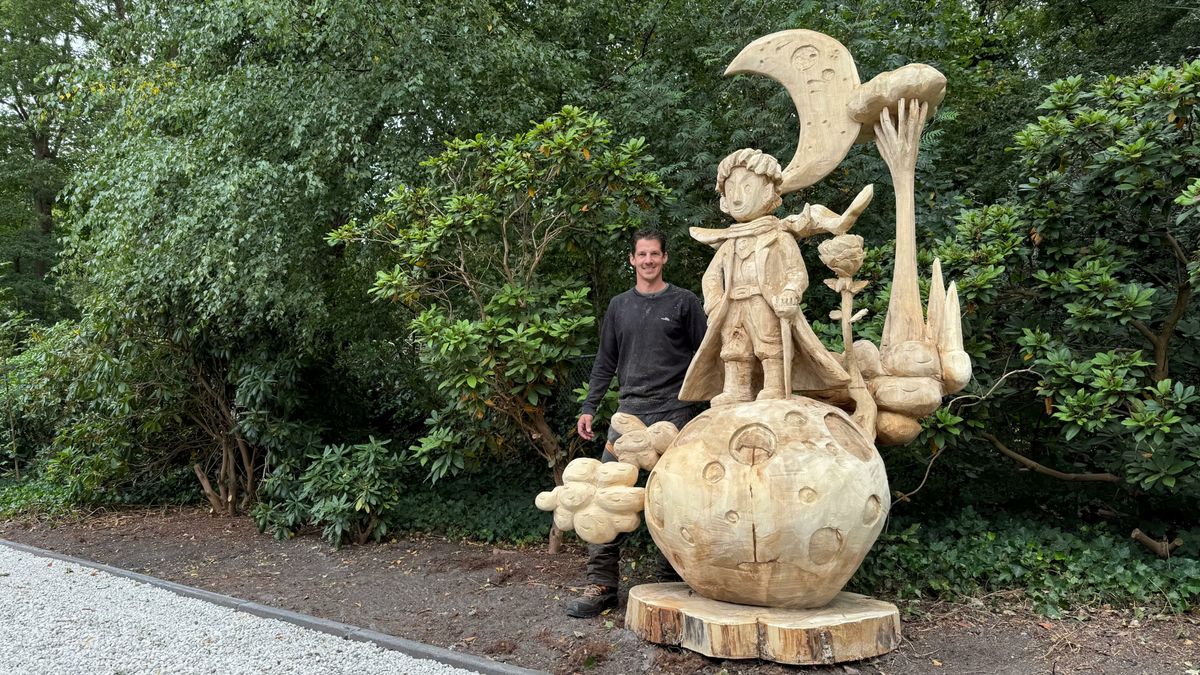 Houtkunst met de kettingzaag: Jeroen Boersma uit Rolde is weer de beste van Nederland