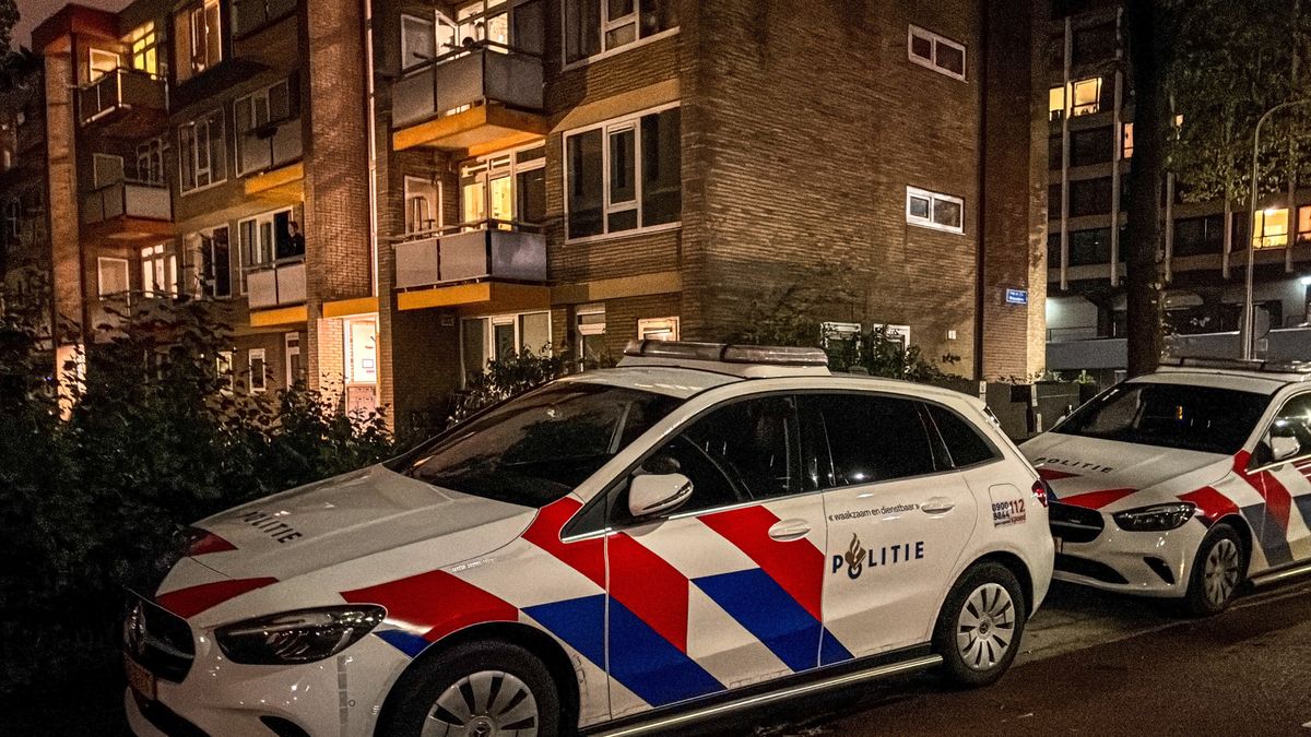 Twee vuurwapens gevonden bij inval in Leeuwarden, man aangehouden