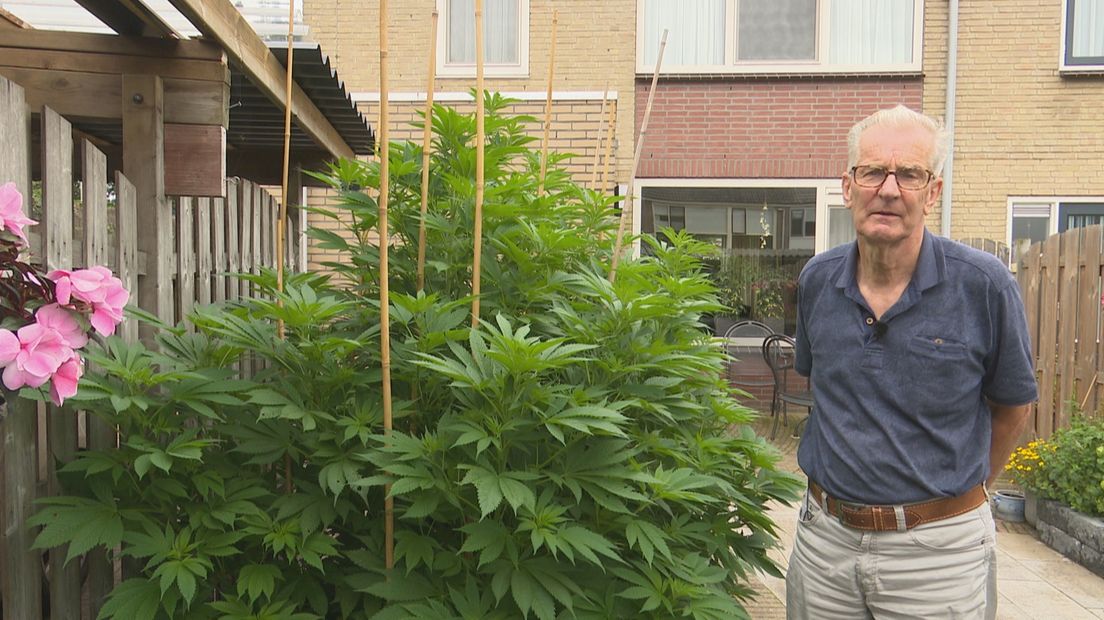 Wiet in de tuin van Jan en Jannie van Raalte