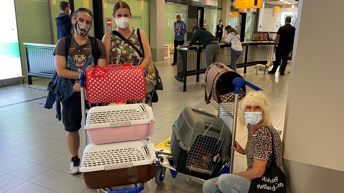 Anja van der Laan en haar man op Schiphol om katten op te halen