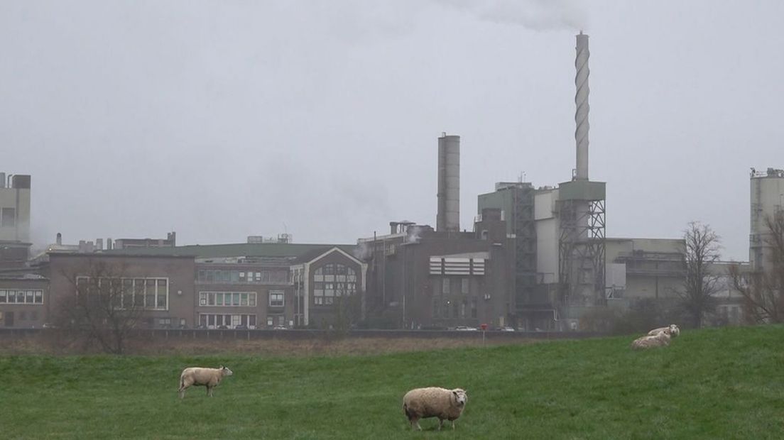 De papierfabriek in Renkum grenst aan natuurgebieden.