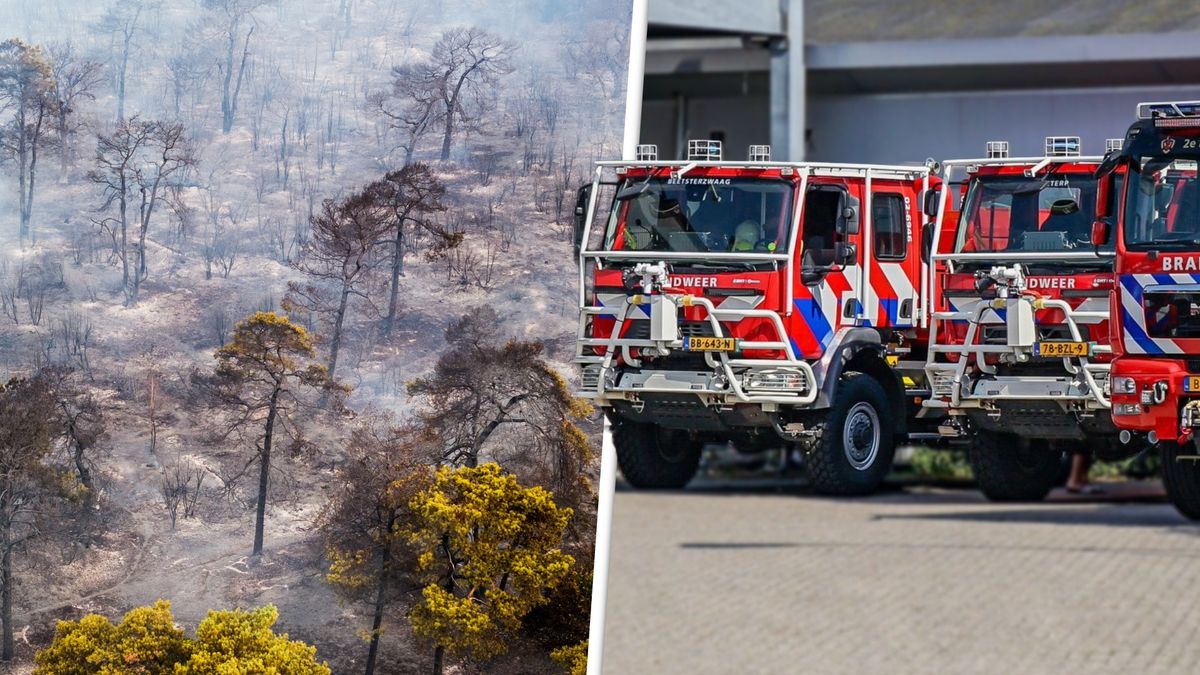 Brandweer Beetsterzwaag en Ureterp naar Limburg voor natuurbrand, rook in Fryslân te ruiken