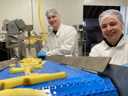 Jonge patatfabrikanten uit Zwinderen oogsten succes met hun goudgele rakkers