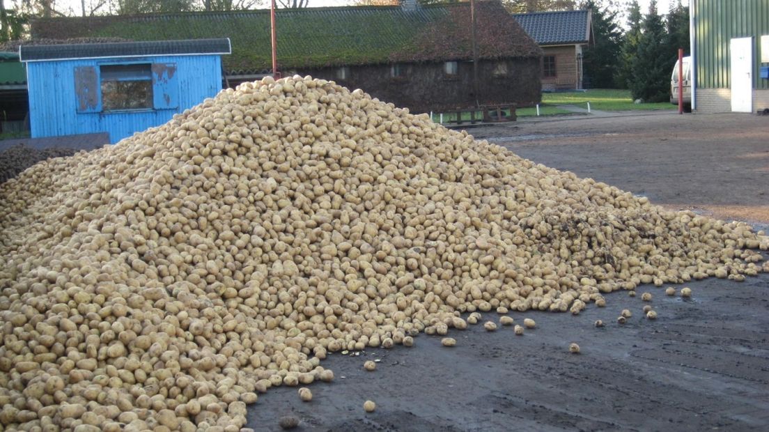 Boer bedolven onder aardappelen