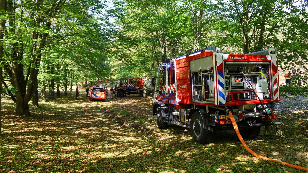 Bosbrand bij Soest, mogelijk aangestoken door tieners