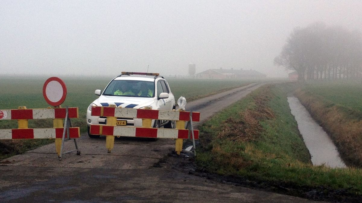 Kippen Scheemda vergast