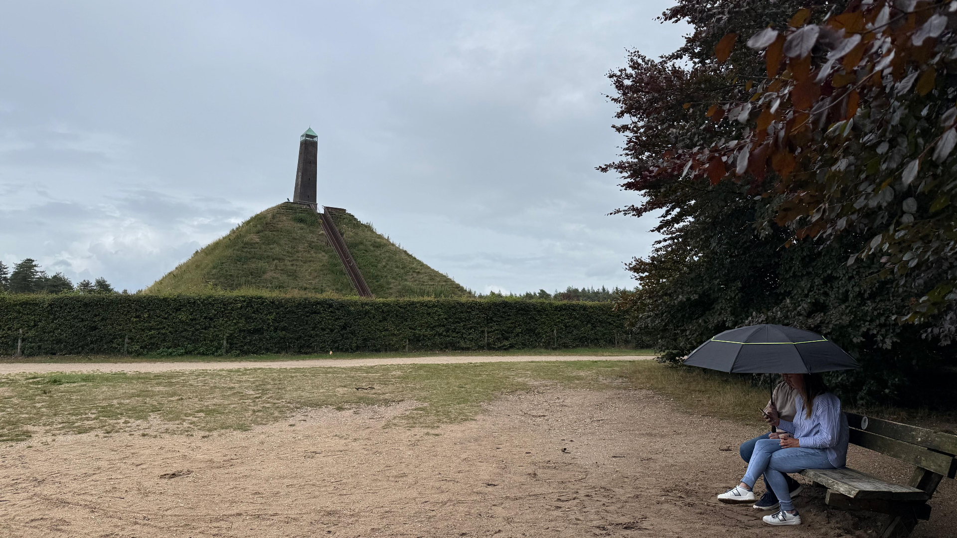 Provincie neemt aan dat dier dat 6-jarig kind aanviel in Austerlitz 'probleemwolf' is