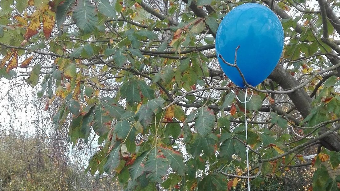 Sommige balonnen eindigden in een boom. 