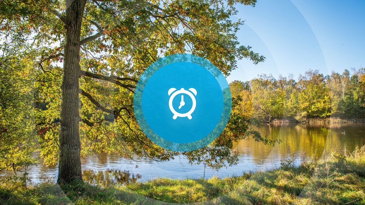 Goedemorgen! Herdenkingen, opnieuw wegafsluiting en jonge mantelzorgers