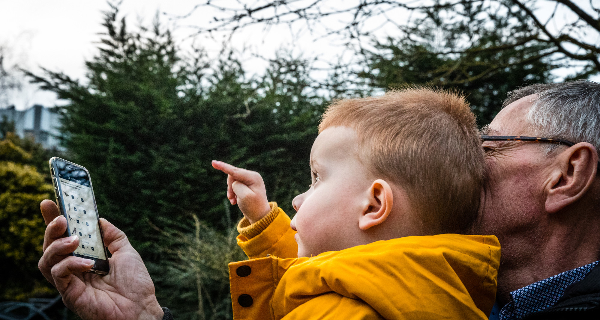 Deze vogel is het meest geteld in Zeeland tijdens de Nationale Tuinvogeltelling