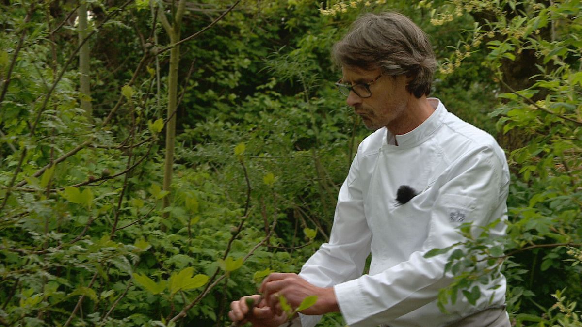 Kok Jeroen haalt producten uit het voedselbos in Graauw