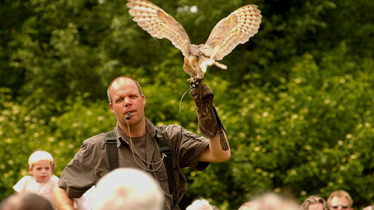 Kritiek op roofvogelshows Boomkroonpad