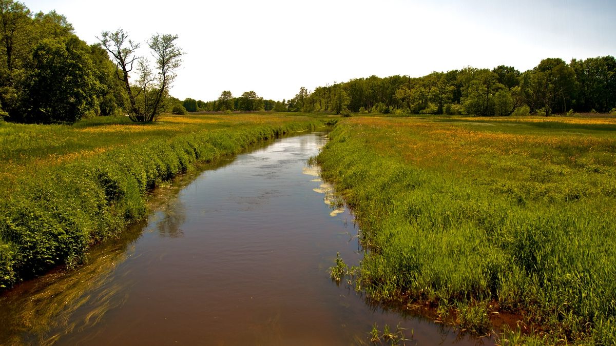 Vierde toegang tot Nationaal Park Drentsche Aa